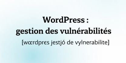 vignette-wp-vulnerabilite