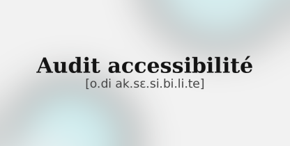 audit_accessibilite