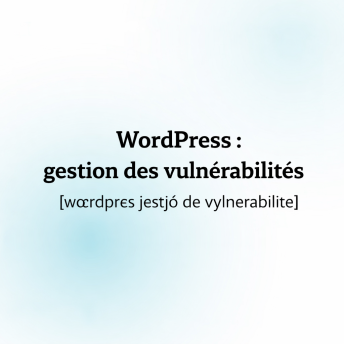 vignette-wp-vulnerabilite