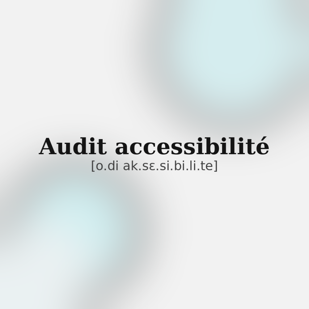 audit_accessibilite